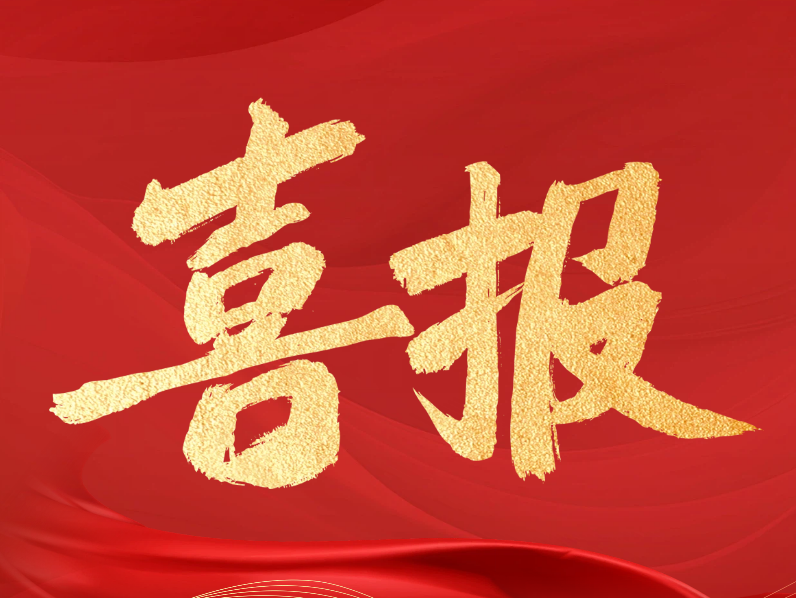 世晟集團  |  榮獲?“2025年度中國表面工程協會科學技術進步獎”！